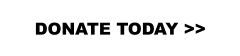 DONATE TODAY >>
