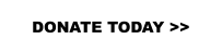 DONATE TODAY >>